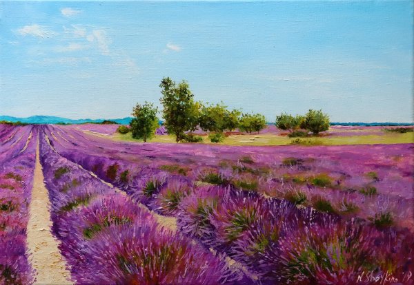 Щесняк художник Керчь лаванды