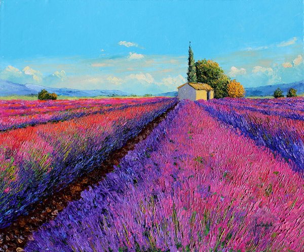 Жан Марк Янячик Лавандовое поле