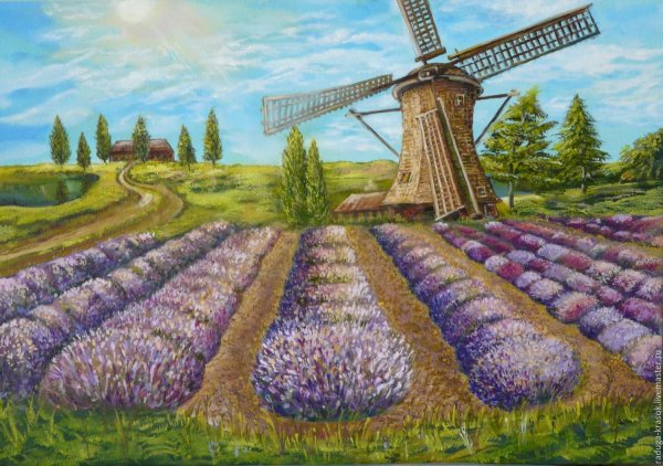 Лавандовое поле и мельница акварель