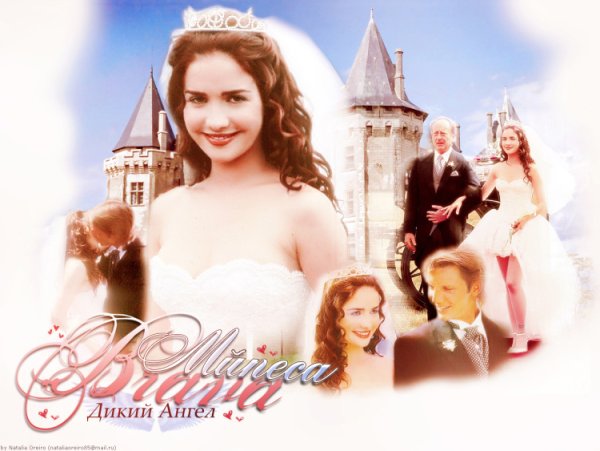 Дикий ангел обложка