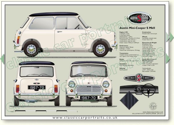 Винил мини Купер Ральф