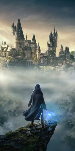 Шоу программа Хогвартс