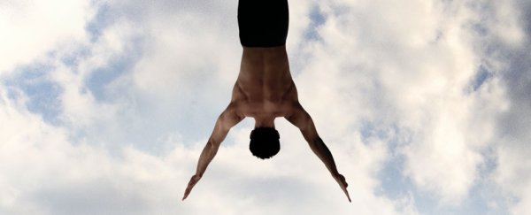 Мирный воин 2006