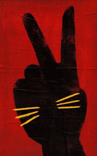 Кролик Джо Джо Постер