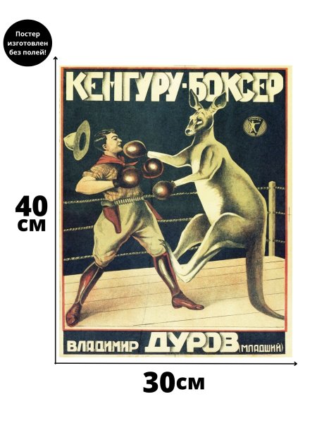 Кенгуру боксер плакат