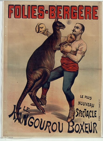 Кенгуру боксер Дуров