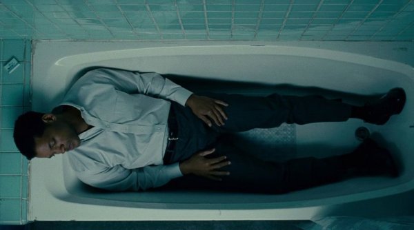 Семь жизней фильм собака порода