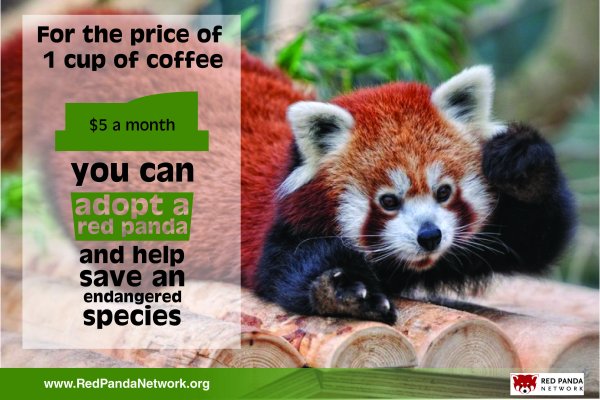 Рюкзак красная Панда