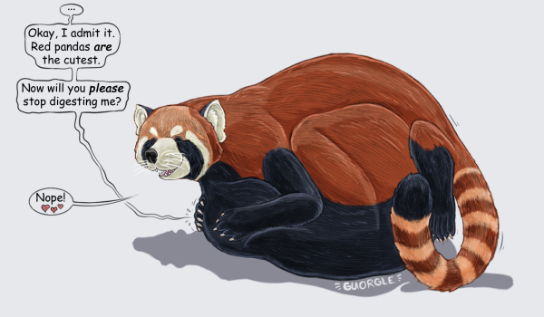 Аватар красная Панда корра