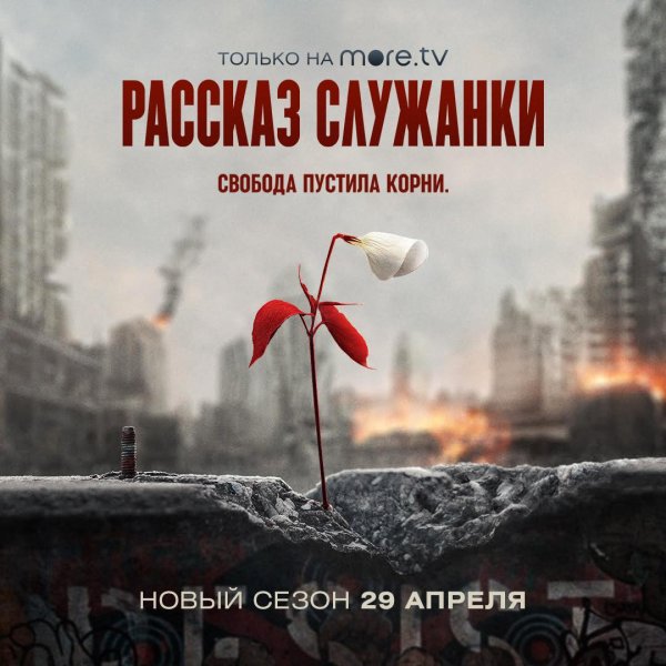 The Handmaid's Tale Постер