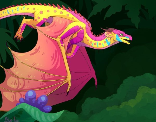 Драконья сага кинкажу арт