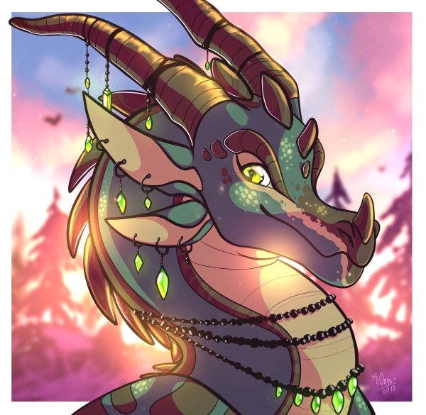 Росянка дракон Драконья сага