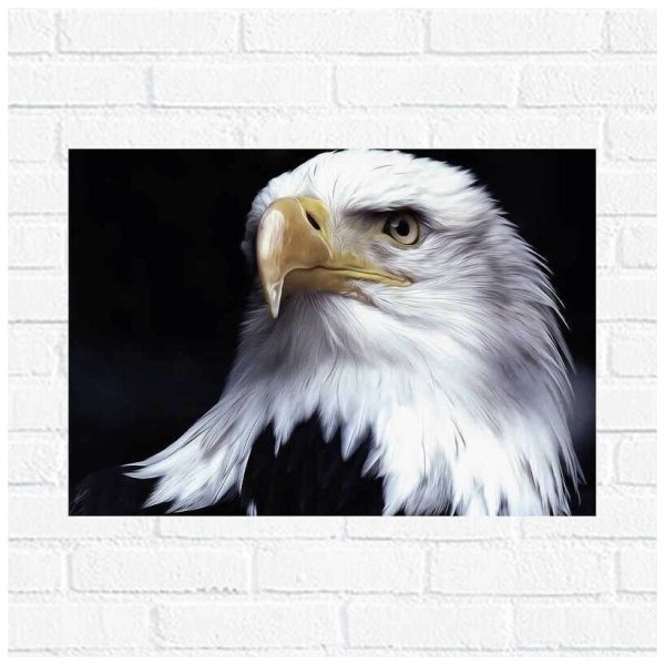 Хищные птицы фильм 2002