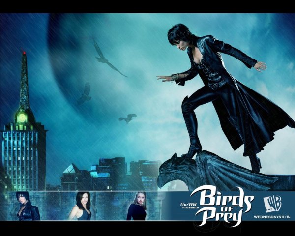 Харли Квинн Хищные птицы 2020