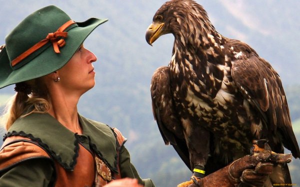 Ночные хищники птицы представители