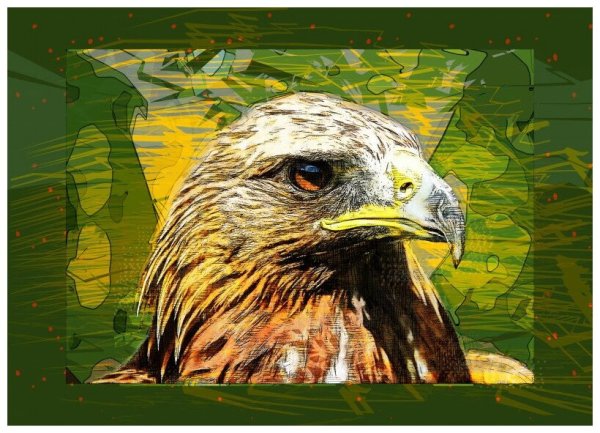 Птицы разные вместе