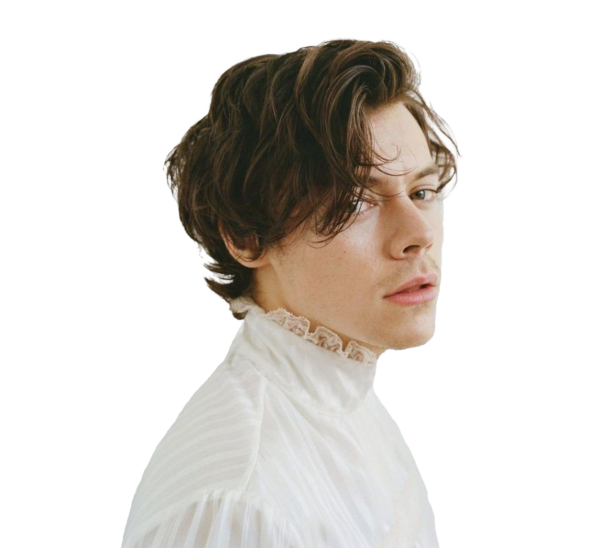 Тим Уокер Гарри Стайлс