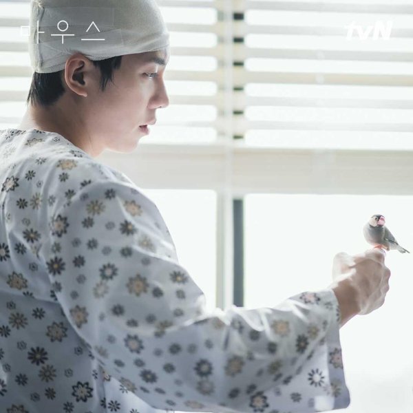 Мышь сериал 2021