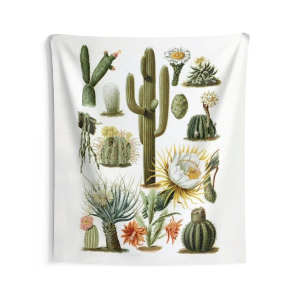 Постер Кактус