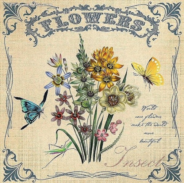 Винтажная ботаника