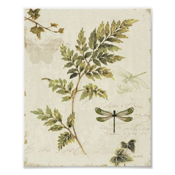 Винтаж ботаника гербарий