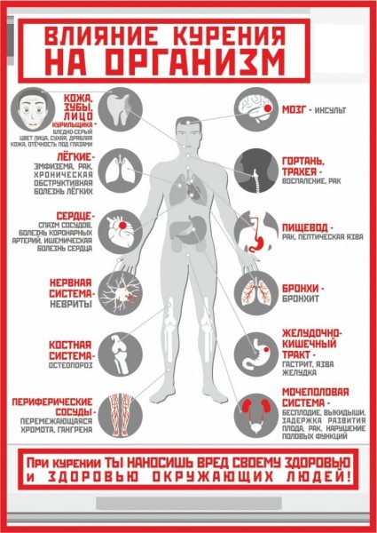 Профилактика курения плакат