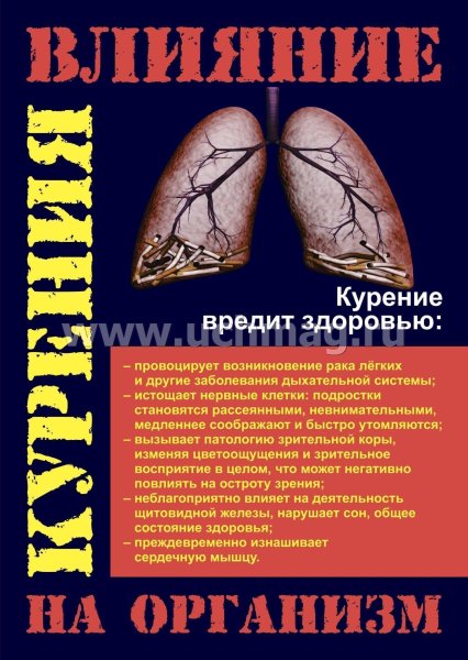 Профилактика курения