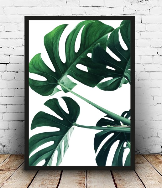 Монстера триптих