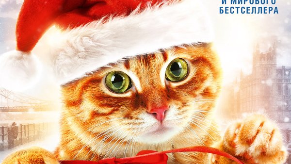 Рождество кота Боба