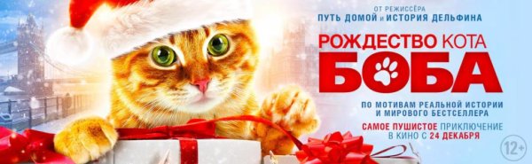 Новогодние приключения кота Боба