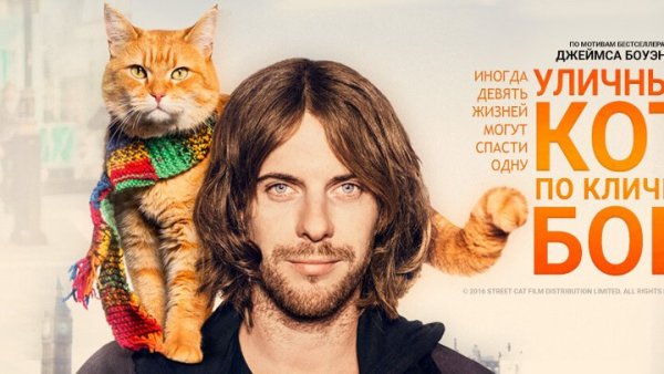 Рождество кота Боба