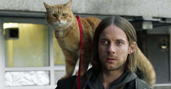 Фильм Рождество кота Boba