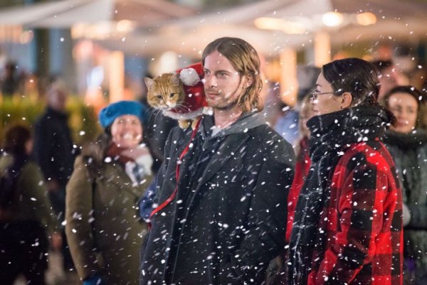 Рождество кота Боба в кино