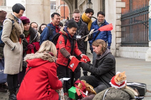 Кот Боб фильм 2020