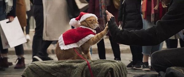 Рождество кота Боба фильм