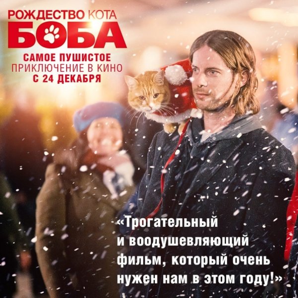 Кинотеатр максимум Евпатория афиша