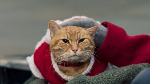 Фильм Рождество кота Boba