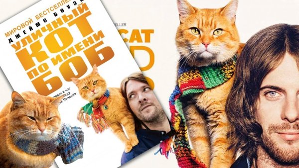 Боуэн Дж уличный кот по имени Боб