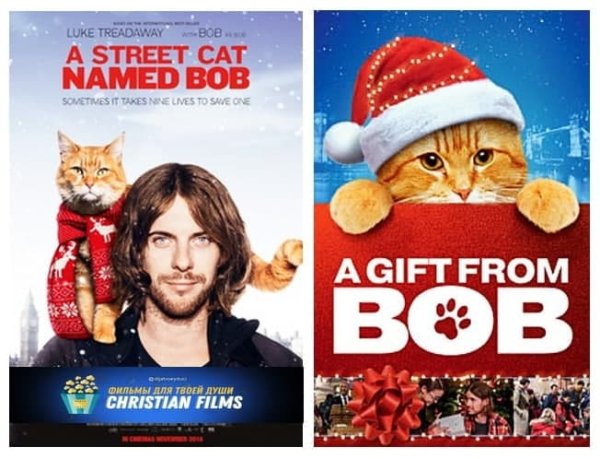 Джеймс Боуэн подарок от кота Боба