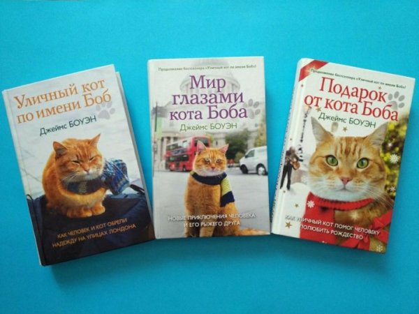 Джеймс Боуэн 2021