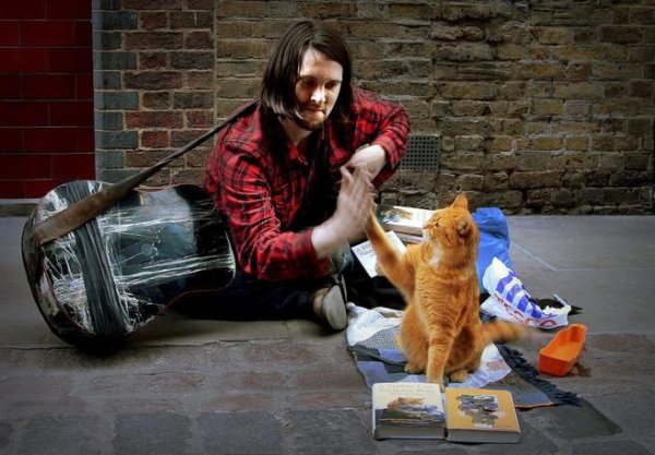 Уличный кот по имени Боб Рождество