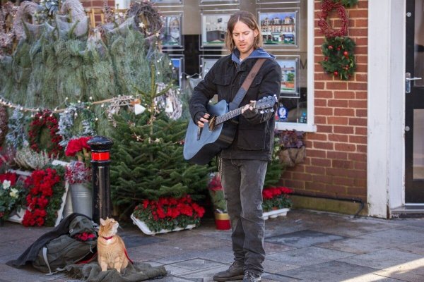 Рождественское приключение кота Боба