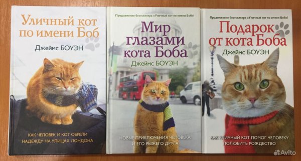 Рождество кота Боба