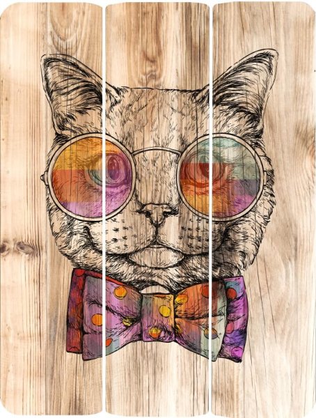 Картина кот в очках на досках
