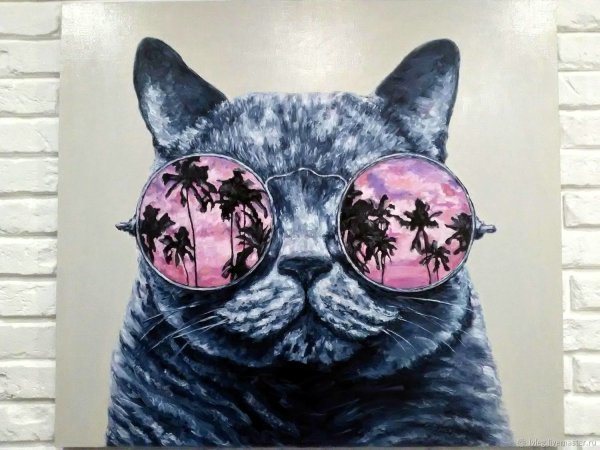 Кот в очках