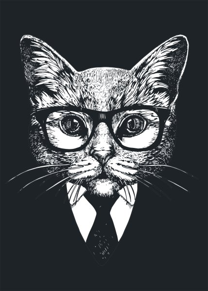 Модный кот в очках