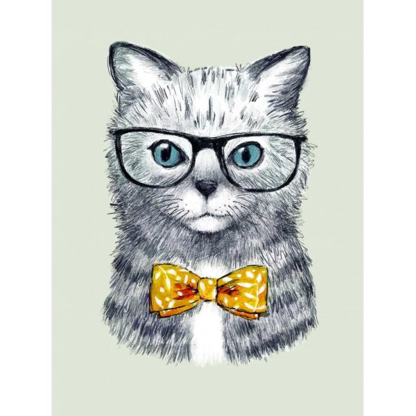 Котик в очках и бабочке