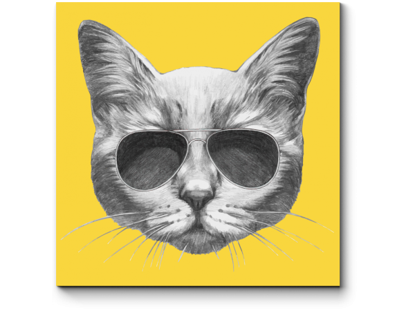 Плакаты с котиками