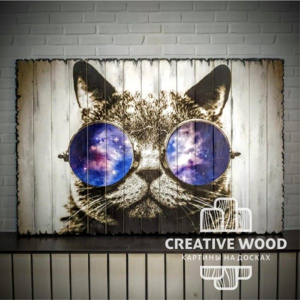 Кот в очках на холсте