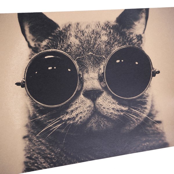 Постер на стену кот в очках